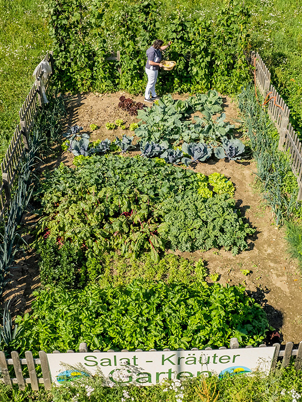 das_kleine_berghotel_gemuese_aus_dem_eigenen_garten_600x800px