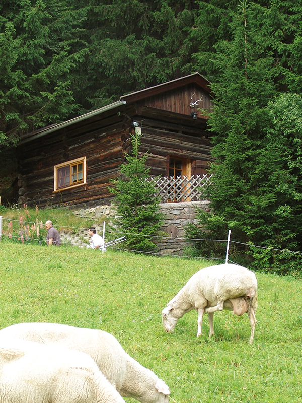 das_kleine_berghotel_lesachtal_waldhuette_mit_bergblick_660x860px