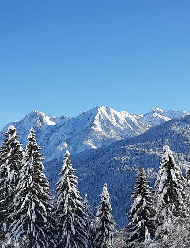 das_kleine_berghotel_lesachtal_winterlandschaft